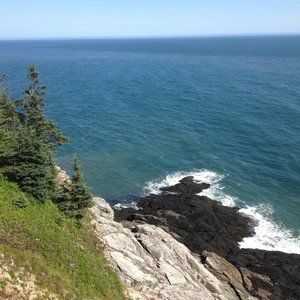 Meet your posher: Forest Free